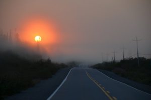 Asphalt road fading into dense fog at sunset, highlighting reduced visibility and travel risks.